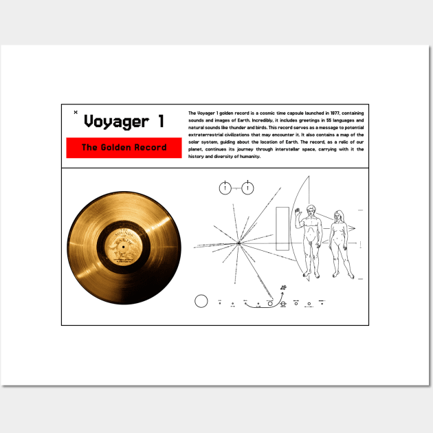 Voyager 1 Golden Record Wall Art by FelipeHora